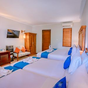 Family Double or Twin Room